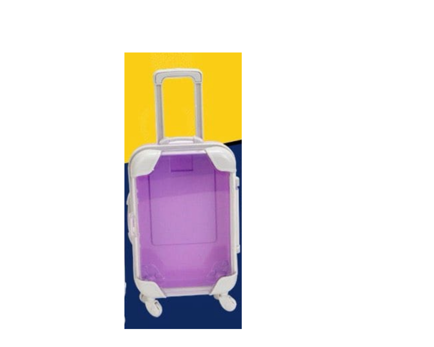 Personalized Mini Luggage