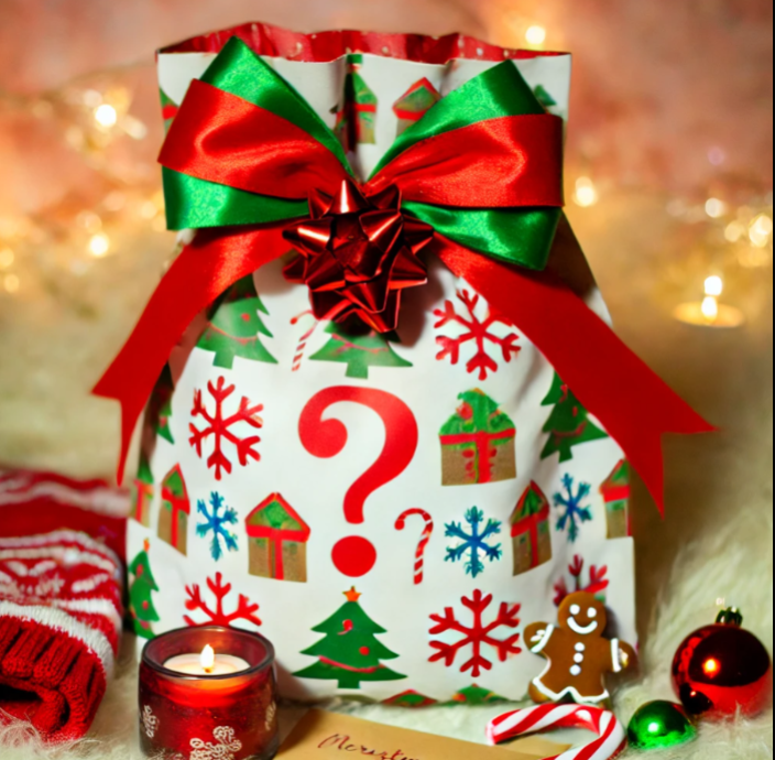 Mystery Christmas Bag