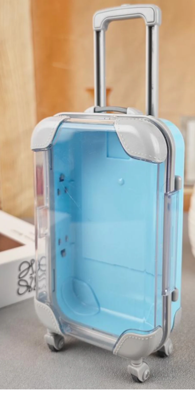 Personalized Mini Luggage