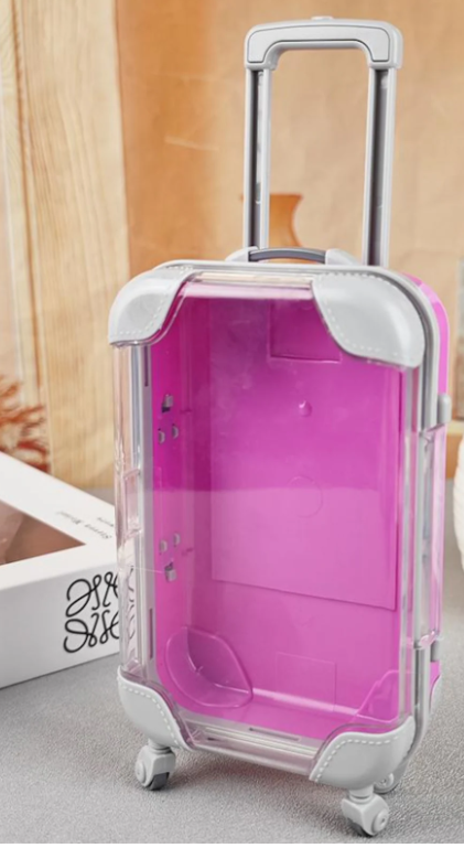 Personalized Mini Luggage