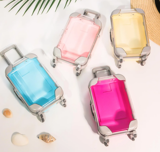 Personalized Mini Luggage